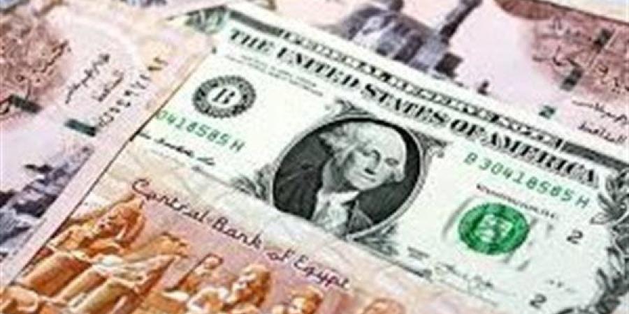 سعر الدولار مقابل الجنيه المصري اليوم الأحد 12 يناير 2025