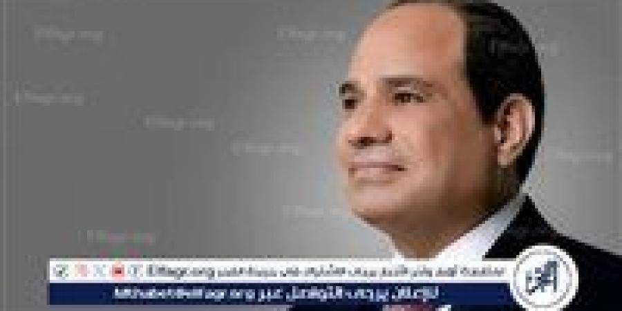 الرئيس السيسي يوجه بضرورة تجهيز أفرع الجامعات المصرية وفقا للمعايير العالمية