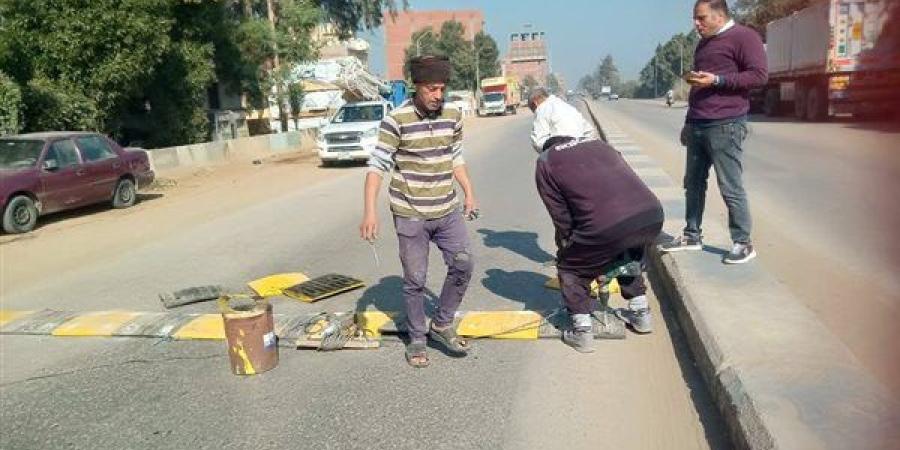 تركيب مطبات صناعية في مدينة ناصر بناءً على طلب النائبة سهام بشاي