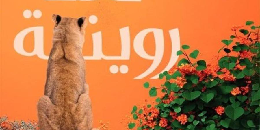 معرض الكتاب 2025.. «لعنة روينة» رواية جديدة لشيماء عاطف