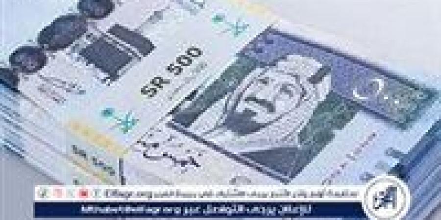 استقرار سعر الريال السعودي مقابل الجنيه المصري اليوم الإثنين 20 يناير 2025 بعد تراجعه الأخير