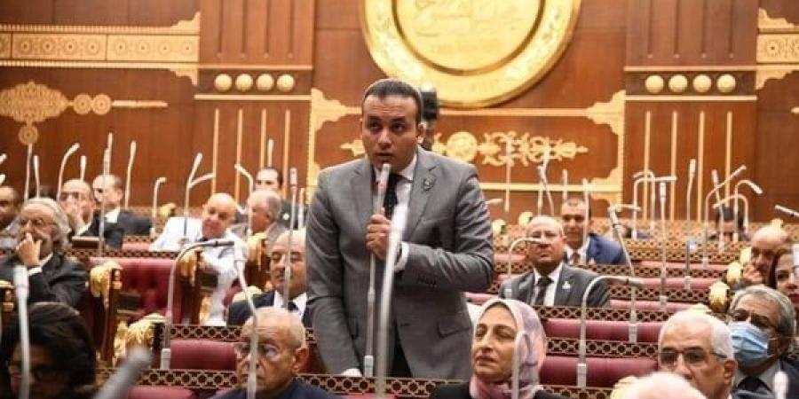 برلماني: رجال الشرطة لا يترددون لحظة فى تقديم أرواحهم فداء لمصر