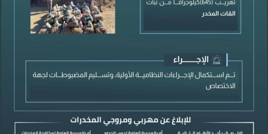 حرس الحدود بعسير يحبط تهريب (645) كيلوجرامًا من القات المخدر