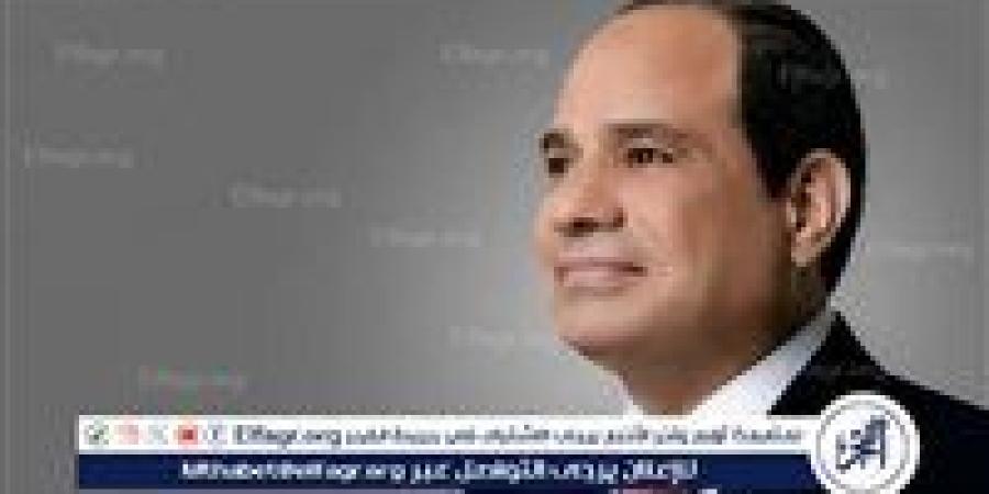 عاجل - الرئيس السيسي: مصر أصبحت كما كانت على مر العصور واحة للأمن والاستقرار