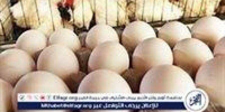 أسعار طبق البيض اليوم الاحد 26-1-2024 في قنا