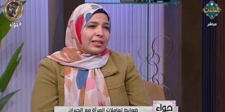 أمينة الفتوى توضح ضوابط التعامل بين الجيران من منظور الشريعة الإسلامية (فيديو)