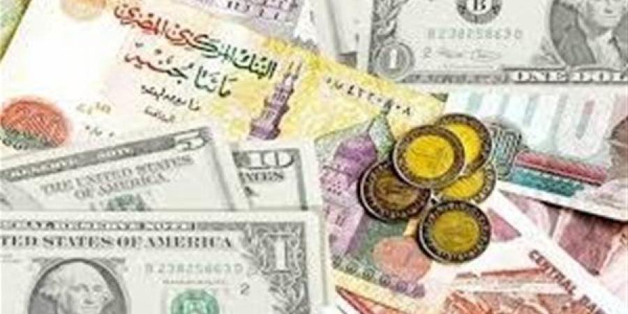 أسعار العملات الأجنبية مقابل الجنيه المصري في البنك الأهلي المصري اليوم الأحد 26 يناير 2025