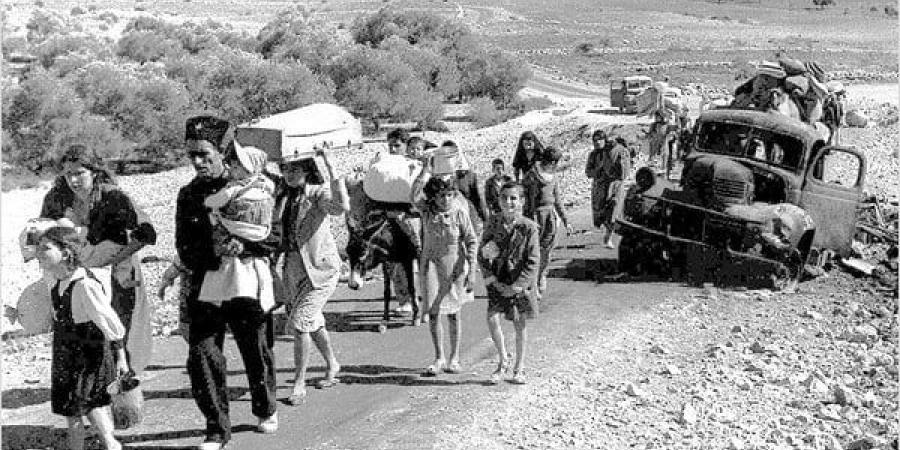 تعرف على سبل الدعم المصري للقضية الفلسطينية منذ عام 1948