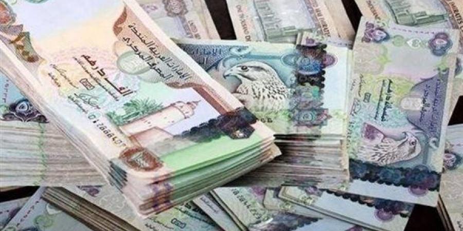 سعر الدرهم الإماراتي مقابل الجنيه المصري اليوم الإثنين 27 يناير 2025