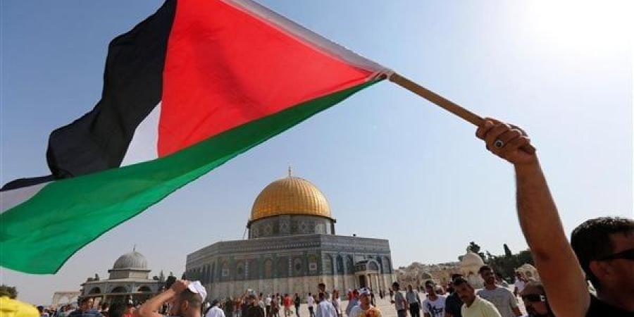 القضية الفلسطينية خط أحمر.. بسمة وهبة تعلق على تصريحات الرئيس السيسي