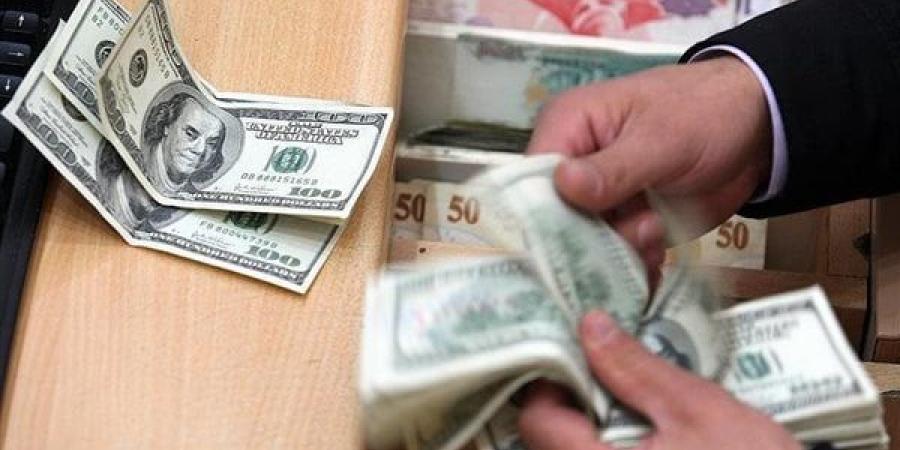 سعر الدولار اليوم الخميس 30 يناير 2025 في البنوك المصرية