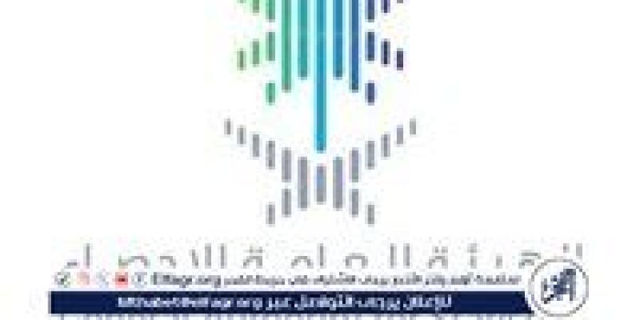 الإحصاء: الناتج المحلي الإجمالي ينمو 4.4% خلال الربع الرابع من عام 2024