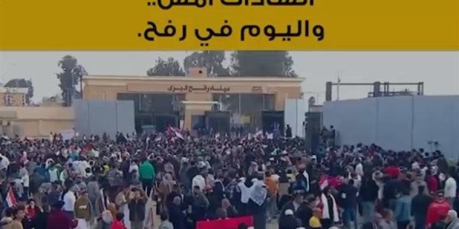 "قالها السادات أمس ويقولها الرئيس السيسي اليوم".. لا للتطهير العرقي للفلسطينيين (فيديو)