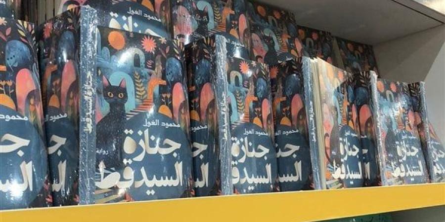 "جنازة السيد قط".. كتاب يتناول رحلة الهروب من الواقع إلى المجهول