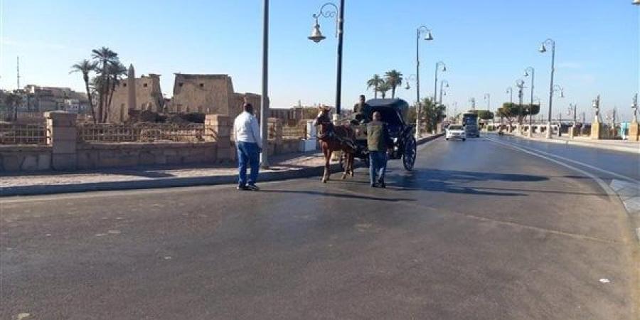 "مجلس مدينة الأقصر" يحرر 10 محاضر لعربات الحنطور المخالفة