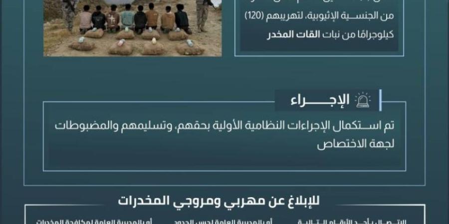 حرس الحدود بعسير يقبض على 8 مخالفين لنظام أمن الحدود لتهريبهم (120) كلجم من نبات القات المخدر