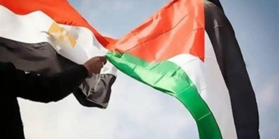 مصر ترفض أى طرح أو تصور يستهدف تصفية القضية الفلسطينية من خلال التهجير