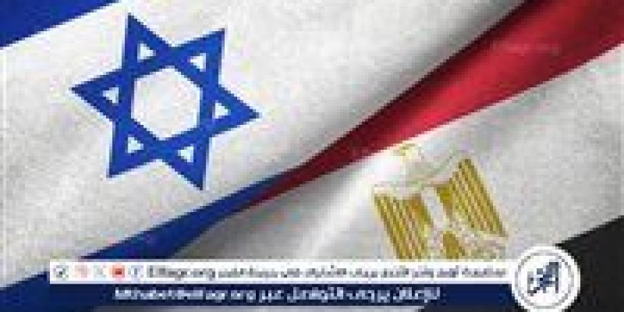 أستاذ قانون دولي: مصر تقف بالمرصاد لمخططات التهجير.. والحق الفلسطيني لا يسقط بالتقادم