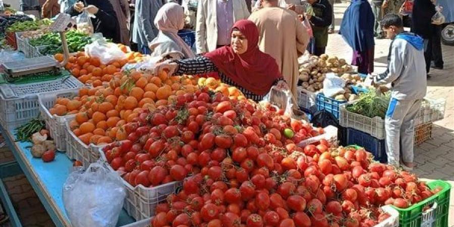 تنظيم معارض "أهلًا رمضان" وسوق اليوم الواحد في الخارجة وموط بالوادي الجديد