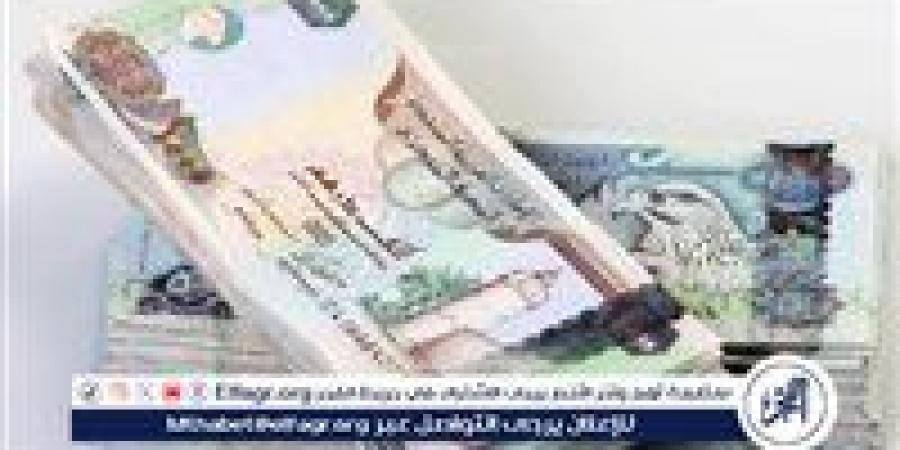 سعر الدرهم الإماراتي في البنك المركزي المصري اليوم الجمعة 7/2/2025