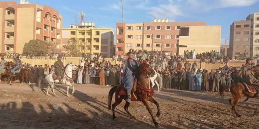 تزامنًا مع حلول مولده.. إنطلاق حلبات المرماح بمحيط سيدى عبد الرحيم القنائي