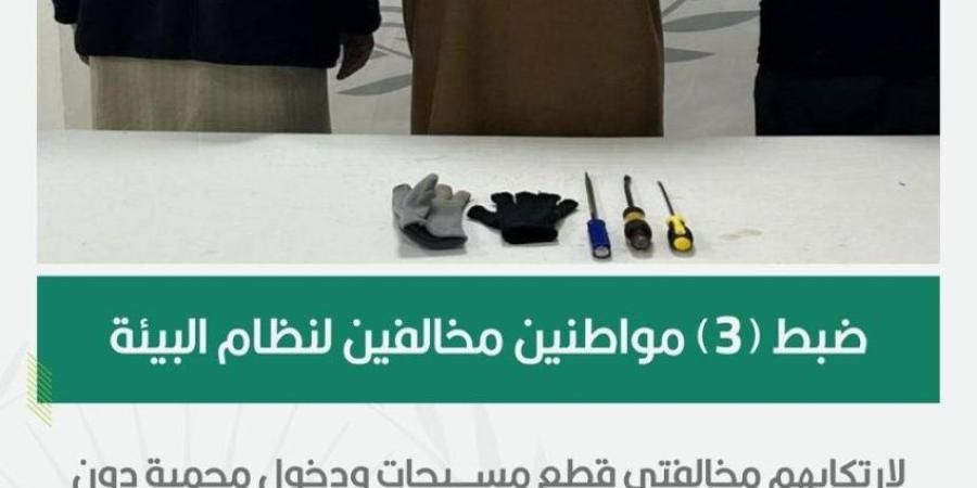 الأمن البيئي يضبط 3 مخالفين لارتكابهم مخالفتي قطع مسيجات ودخول محمية دون ترخيص