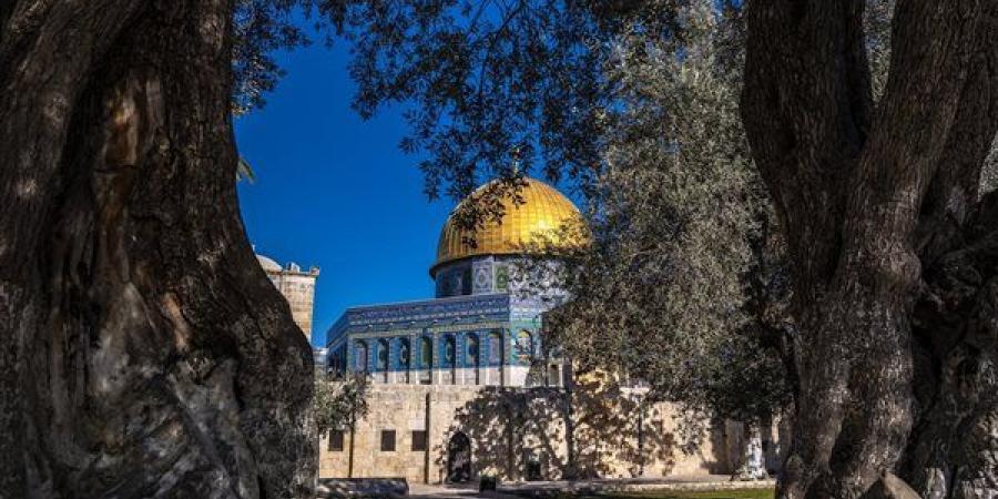 باحث سياسي يشرح دلالات تعبير «القدس الشريف» في بيان «الخارجية»