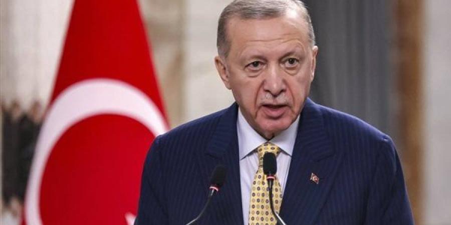 أردوغان: إسرائيل تحاول التنصل من بنود اتفاق وقف إطلاق النار