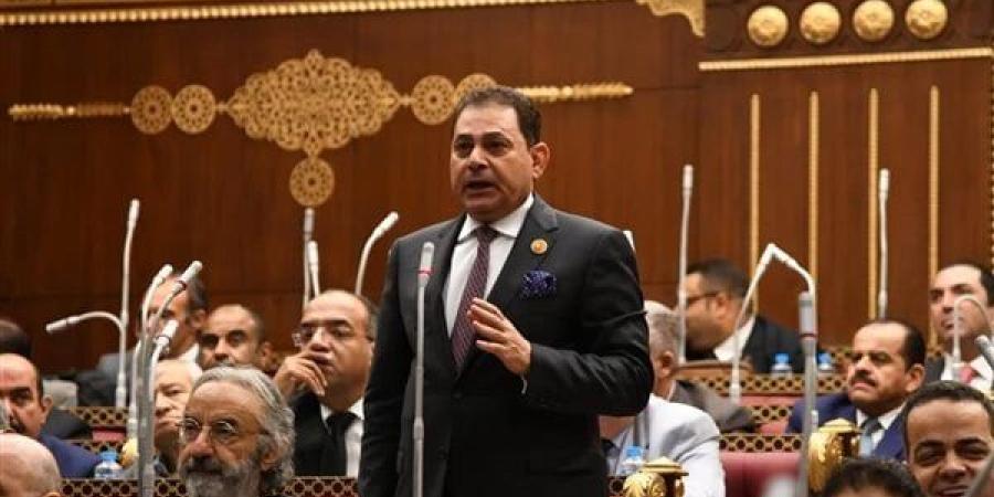 برلماني: دعم الرؤية المصرية لحل القضية الفلسطينية واجب سياسي وأخلاقي لإرساء السلام العادل