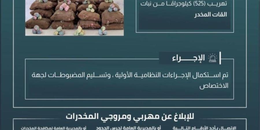 حرس الحدود بعسير يحبط تهريب (525) كيلوجرامًا من القات المخدر