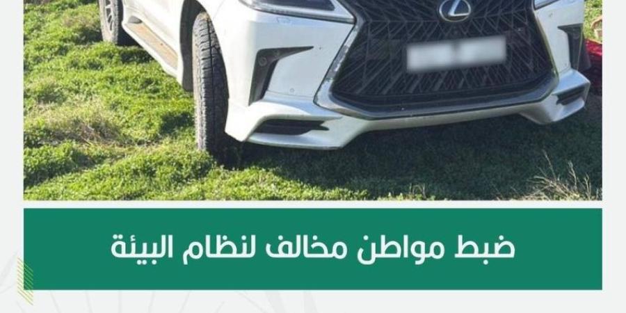 القوات الخاصة للأمن البيئي تضبط مواطنًا مخالفًا لنظام البيئة لدخوله بمركبته في الفياض والروضات في محمية الملك عبدالعزيز الملكية