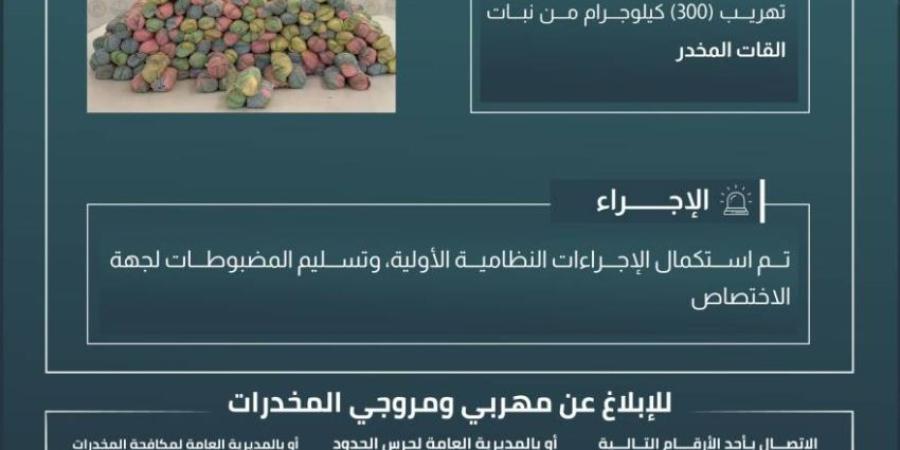 حرس الحدود بعسير يحبط تهريب (300) كيلوجرام من نبات القات المخدر