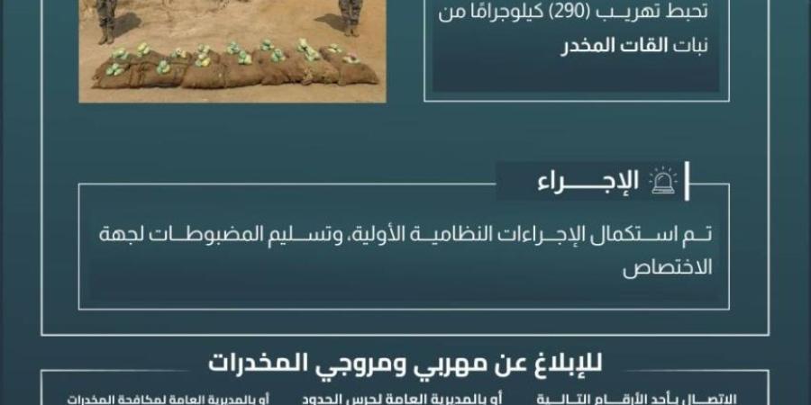 حرس الحدود بجازان يحبط تهريب (290) كيلوجرامًا من القات المخدر