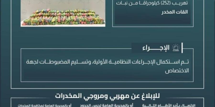 حرس الحدود بجازان يحبط تهريب (252) كيلوجرامًا من القات المخدر